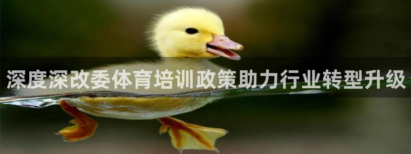 欧陆娱乐是正规平台吗安全吗可靠吗：深度深改委体育培训