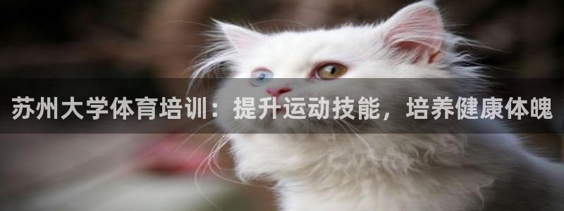 欧陆娱乐是什么：苏州大学体育培训：提升运动技能，培养