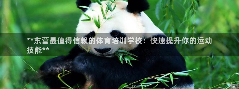欧陆娱乐共创美好：**东营最值得信赖的体育培训学校：