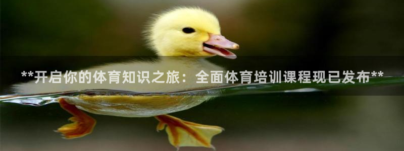 欧陆娱乐有限公司怎么样：**开启你的体育知识之旅：全