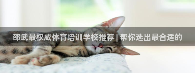 欧陆娱乐平台官网入口：邵武最权威体育培训学校推荐 |