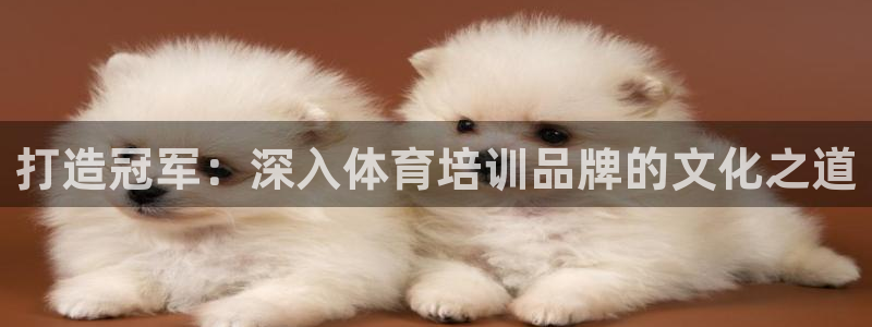 欧陆娱乐百科官网：打造冠军：深入体育培训品牌的文化之