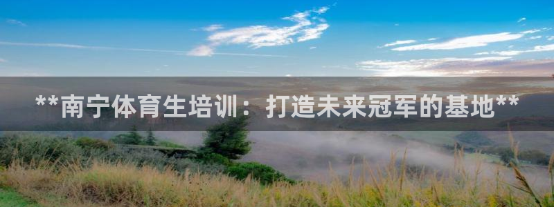 重庆欧陆娱乐有限公司：**南宁体育生培训：打造未来冠
