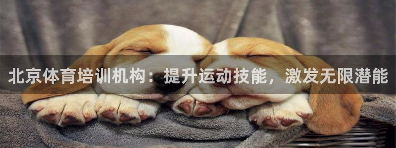 欧陆娱乐计划app官方正版安装下载：北京体育培训机构